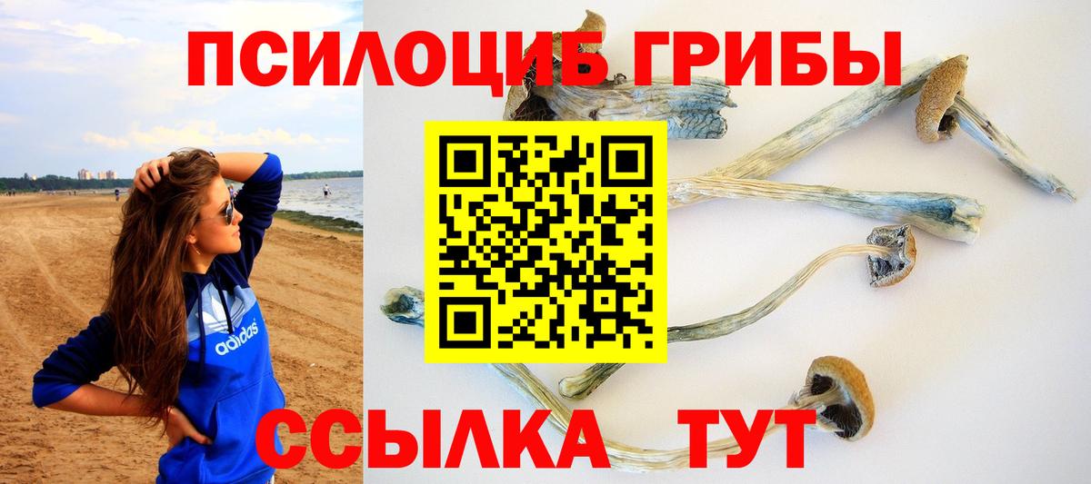A PVP Аргун